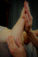 5 Signs That Your Body is Responding to Reflexology Work