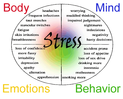 Do You Have These Signs and Symptoms of Stress?