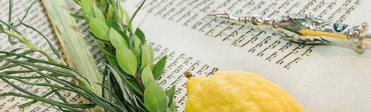 sukkot_edited.jpg