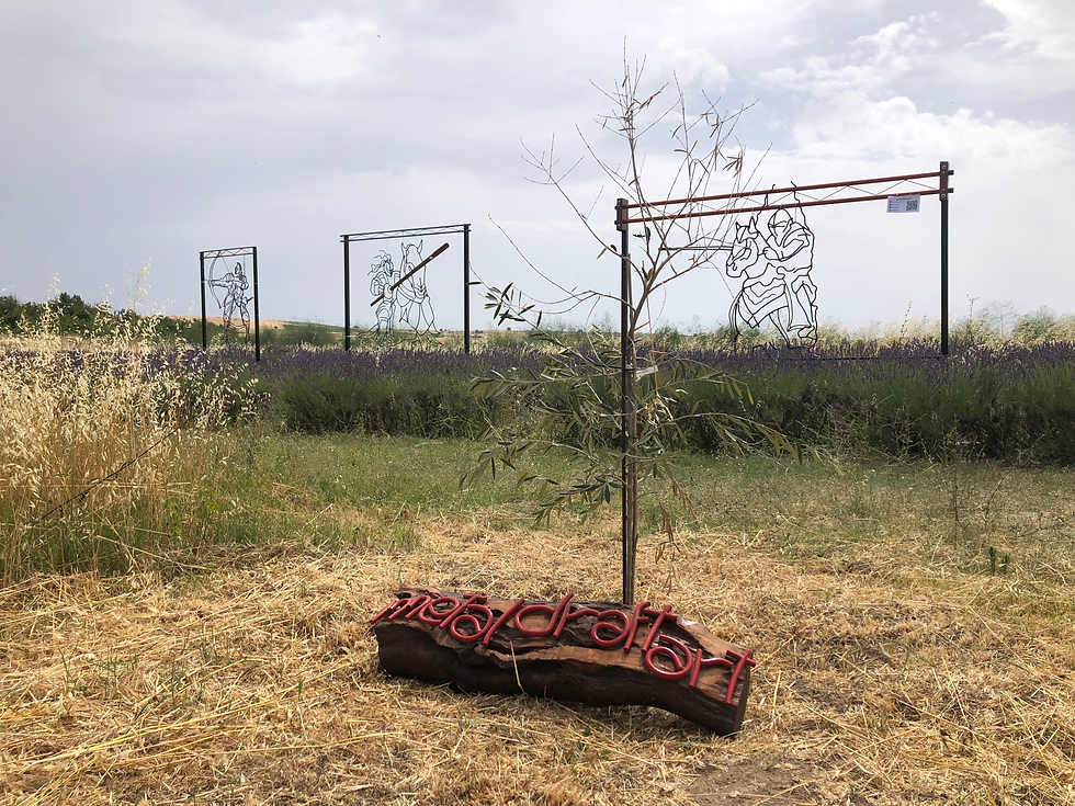 Arte e musica nella lavanda