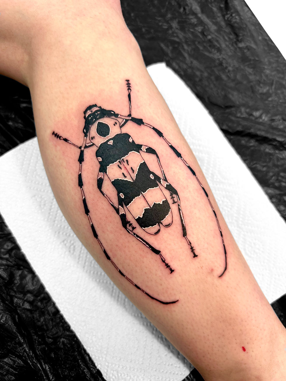 Fineline Blackwork Käfer Tattoo