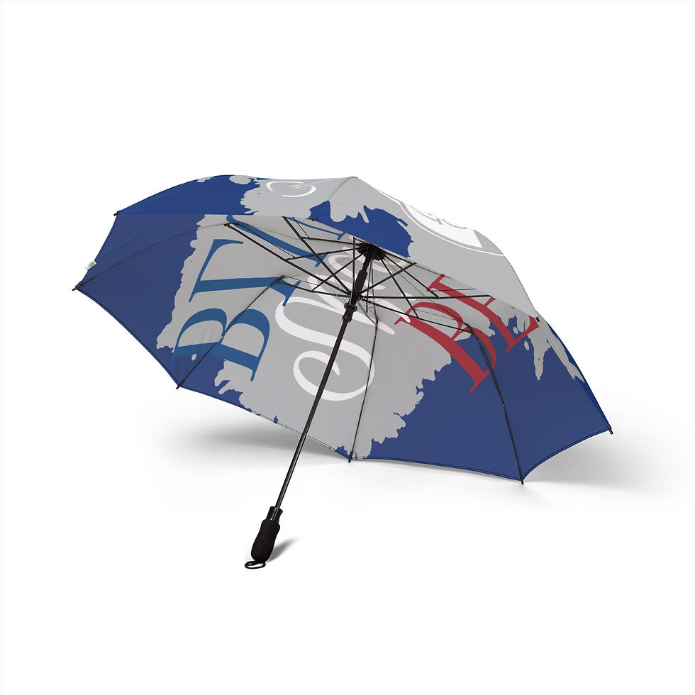 Thumbnail: Stylish Foldable Umbrella