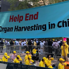 The Stately Driven Organ Harvesting in China in Chinese Concentration Camps  