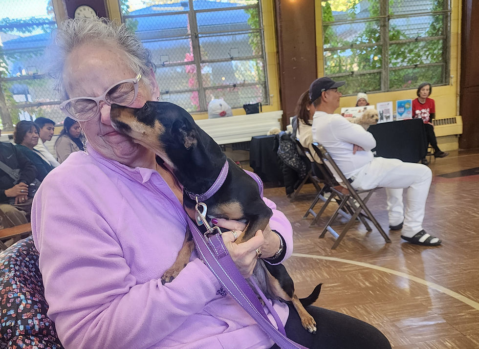 8th Annual Pet Blessing