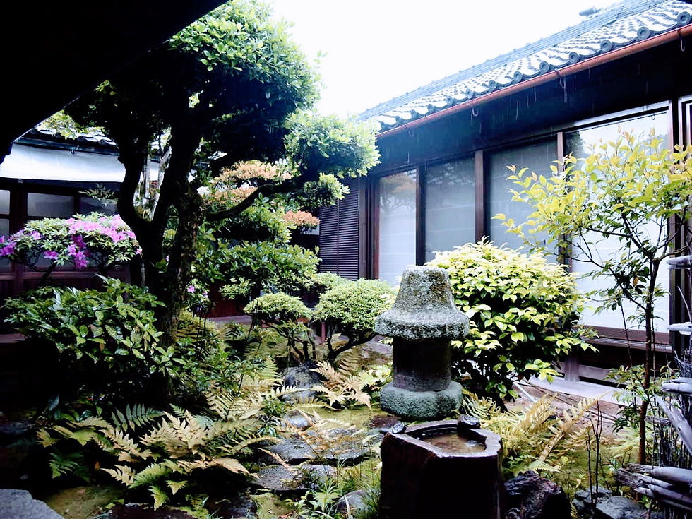 庭