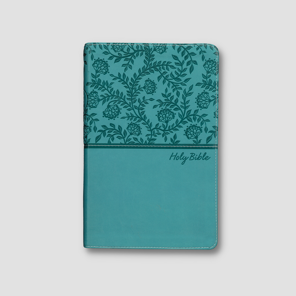 Holy Bible KJV holy-bible-kjv