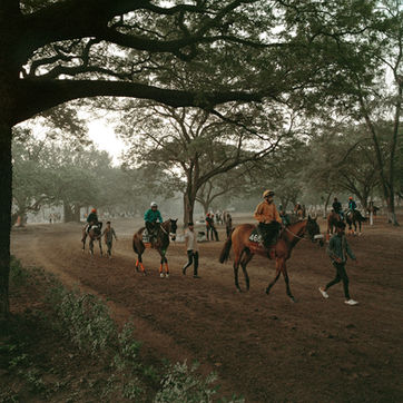 Raceday: Documenting the disappearing