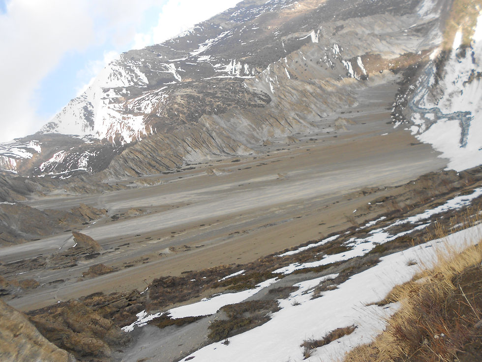 the landslip fields... at an angle! Those colours though...