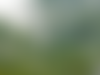 PLANTING NEW SEEDS & SEEING THE FUTURE