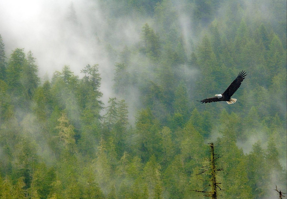 PLANTING NEW SEEDS & SEEING THE FUTURE