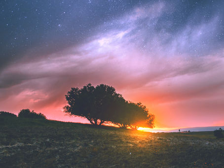 PLEIADIAN-EARTH ENERGY REPORT: July 15, 2022