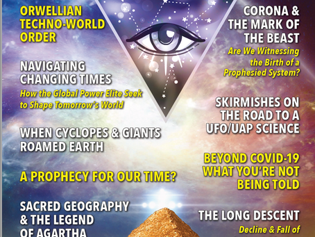 Preview Issue of New Dawn Magazine!