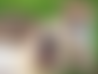 PLEIADIAN-EARTH ENERGY REPORT: EVOLVING! DECEMBER 6, 2022