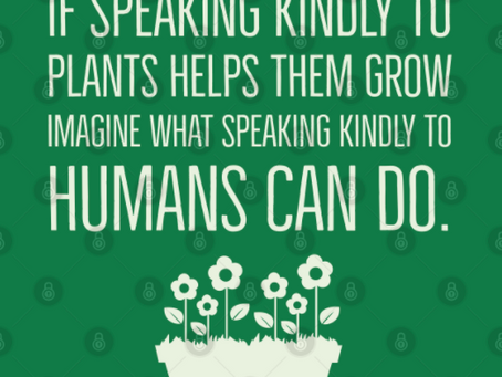 PLEIADIAN-EARTH ENERGY REPORT: 15 October, 2021 