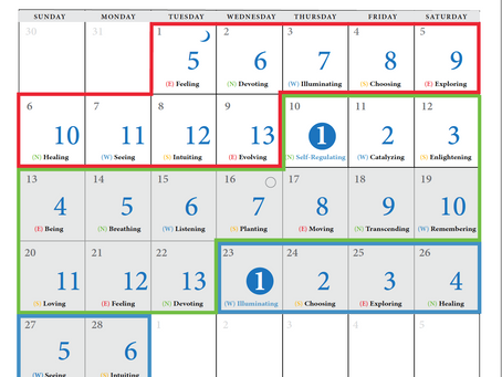 PLEIADIAN-EARTH ENERGY REPORT:   FEBRUARY 10, 2022  -  BEGINNING    THE COLLECTIVE SHADOW CYCLE!