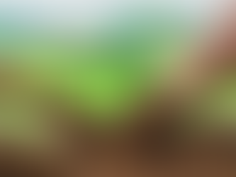 PLEIADIAN-EARTH ENERGY REPORT– PLANTING- 10 AUGUST, 2023