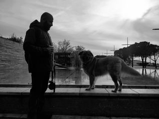 Exploring Thessaloniki's Dog Park and Zoo: A Pawsitive Team's Journey Toward Stray Animal Advocacy