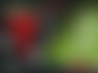 Mirjam Eckert & Pawsitive Parks