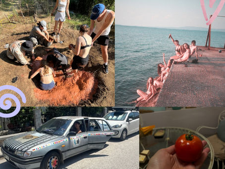 MADmax & Swami's experience as a volunteer