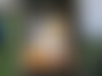 ΝΑΥΠΛΙΟ: Εσπερινό Λύκειο Ναυπλίου