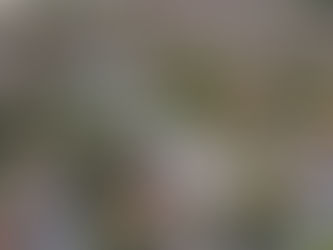 URGENT: ESC 3 months Wild vibes - Bulgaria