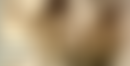 Με μια ματιά....Η Επόμενη Μέρα