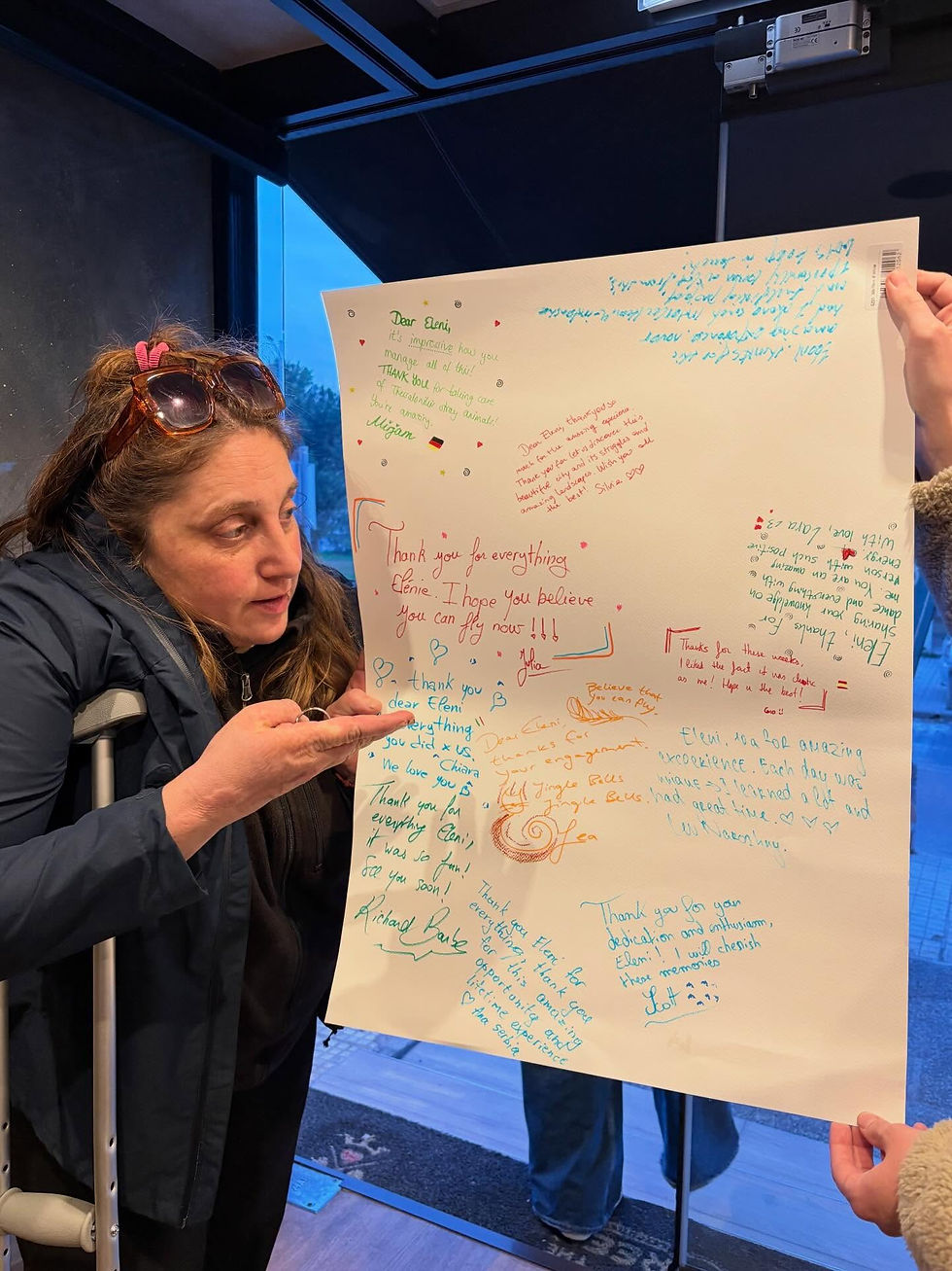 Eleni self reflects...!