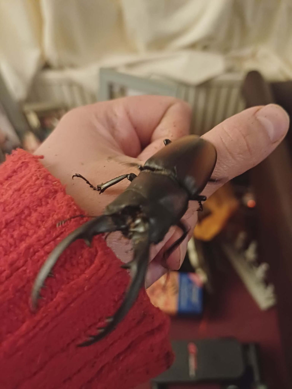 Merry Christmas everyone!