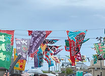 IMG_2522.jpg