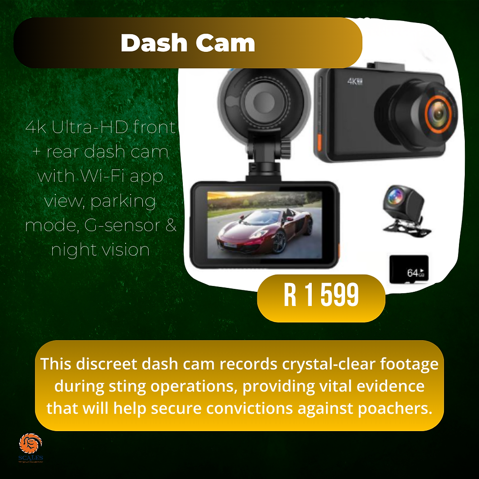 Dash Cam