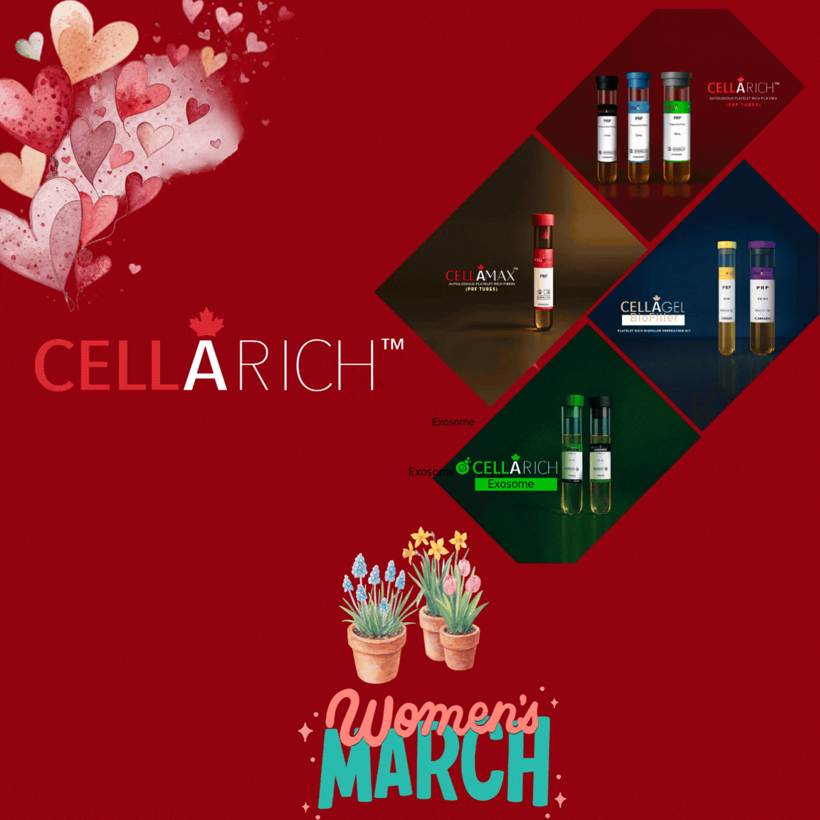 Copy of Copy of Copy of Save Up To 70% (1440 x 1440 px)-3.gif