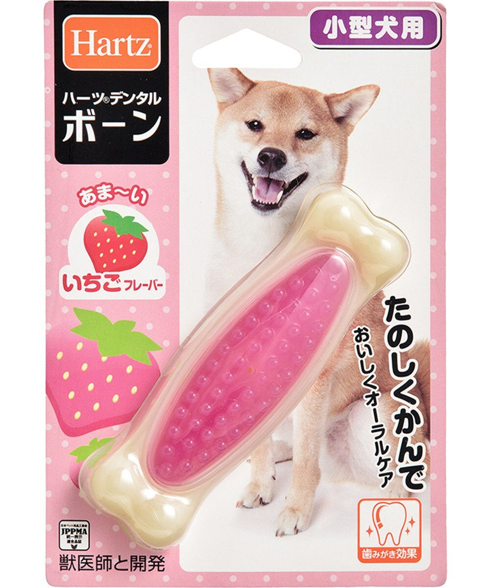 Hartz 士多啤利味潔齒玩具 - 中碼