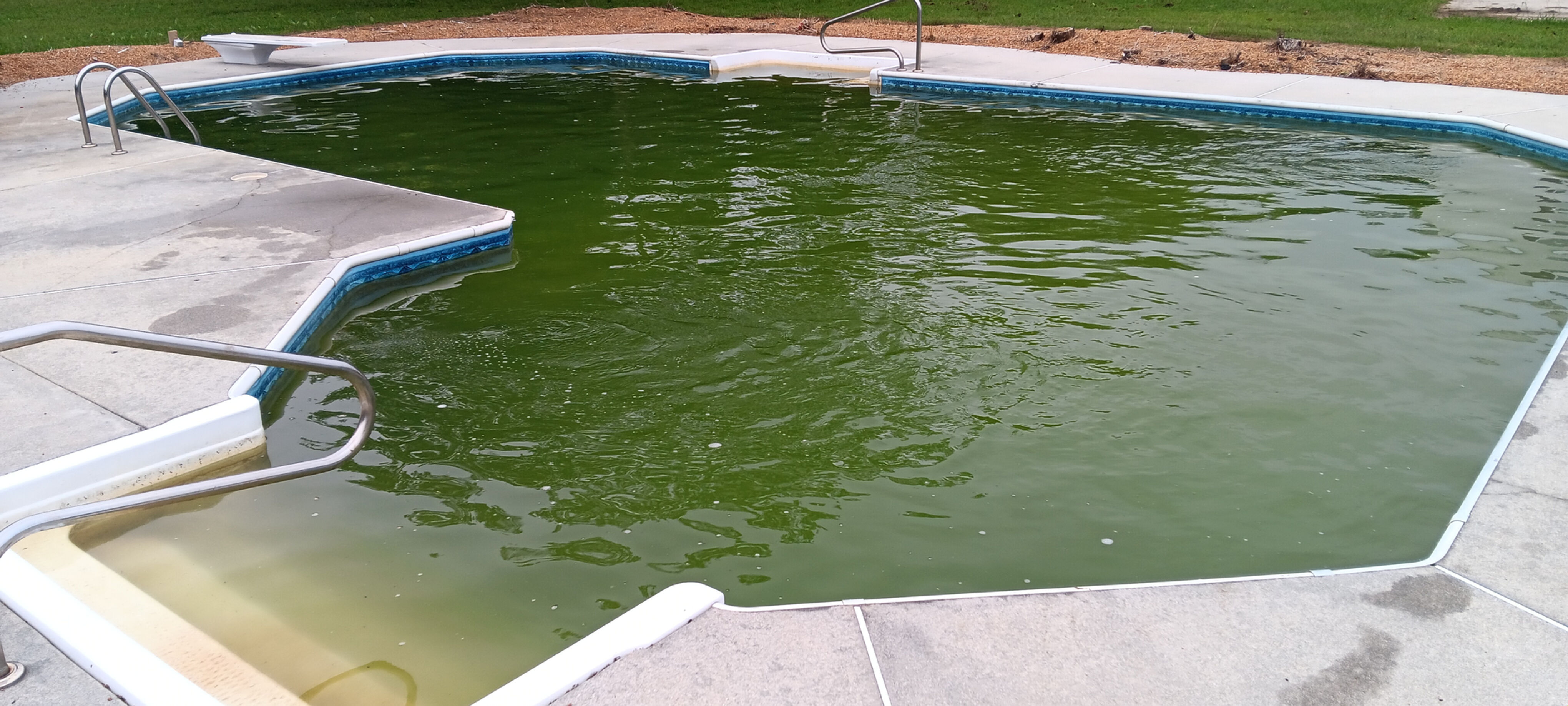Green Pool to Clean service Virginia Beach VA