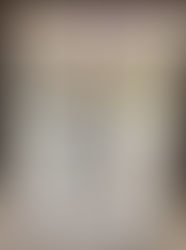 【どきどき☆ときどき漫画通信】
第8回
乱と灰色の世界 入江亜季