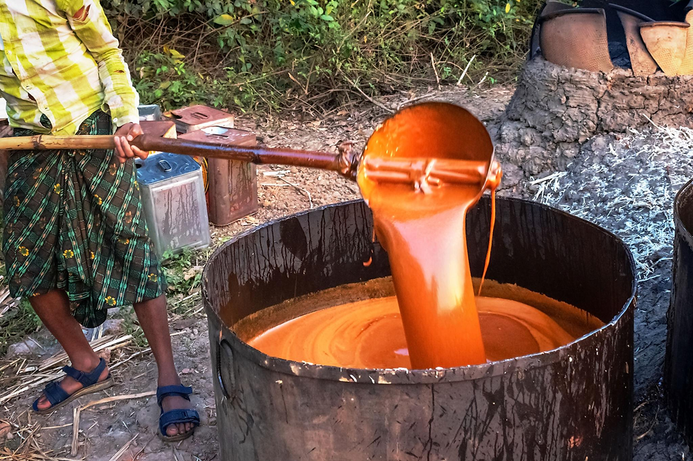 A man making mollases