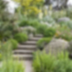 Natural pathway