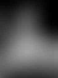 The Flamingo, Las Vegas © 2024 Nadine Belkaroui