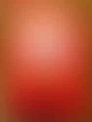 Lions Club Fire Assistance Signage