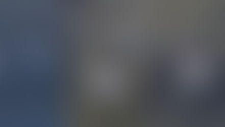 Recommended Revisions to the Birds Korea Checklist (2014-2015)