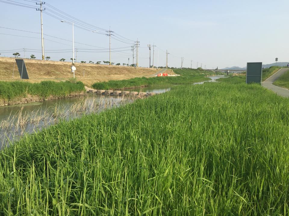 Gimhae Haebancheon 2