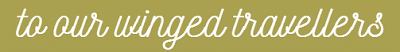 title-wingedtravellers