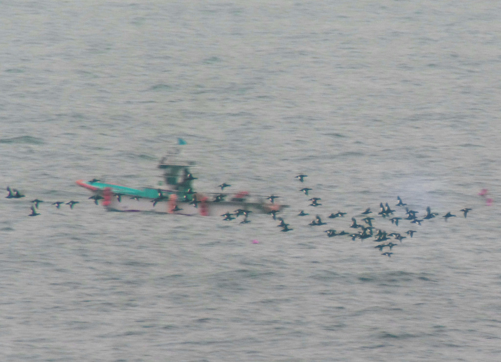 nov13-wwscoter-rs2