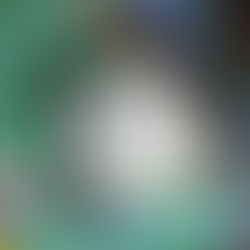 Suncheon Area, March 14 - April 8