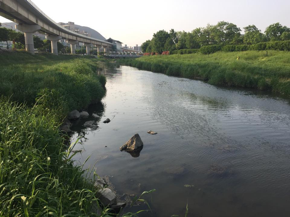 Gimhae Haebancheon 12