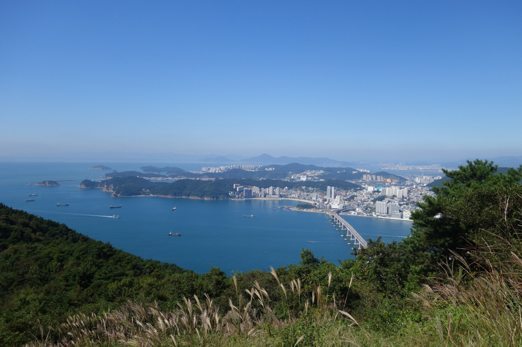 bongnaelookingsouthwestrs1