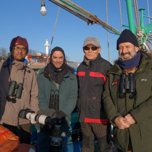 Goseong County coast, December 16-20
