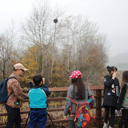 B.I.R.D.S. Club Field Trip: Junam Reservoir and Myeongji Tidal Flat