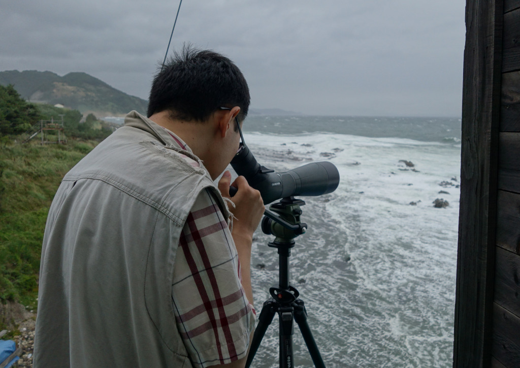 seawatchingatGuryongpo_RS