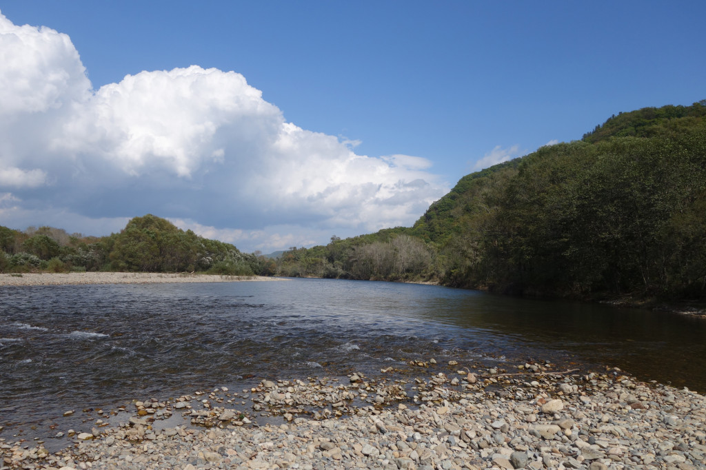 RS-merganserhabitat_russia sep 2015 222