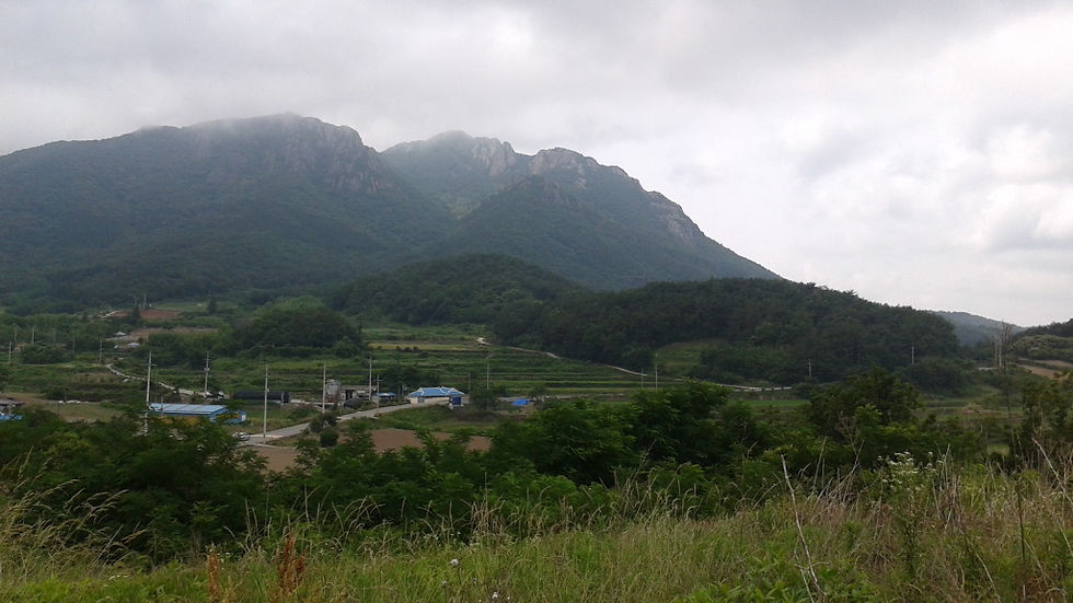 Goheung habitat © Matt Poll